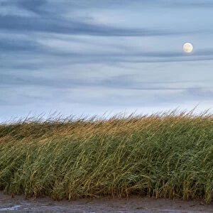 USA, Massachusetts, Cape Cod, Full moon rising at First Encounter Beach