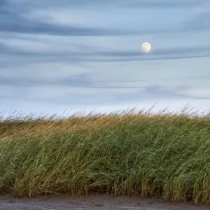 USA, Massachusetts, Cape Cod, Full moon rising at First Encounter Beach