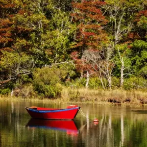 Cape Cod Red Dory Print on Herring River Cape Cod Red Dory Print on Herring River