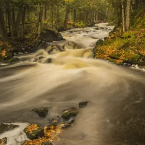 USA, Michigan, Fall Colors, Stream USA, Michigan, Fall Colors, Stream