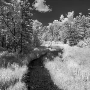 USA, Minnesota, Itasca State Park