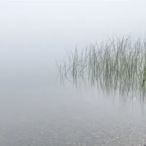 USA, Minnesota, Walker