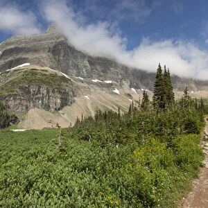 USA, Montana, Glacier National Park. Hiking trail and landscape