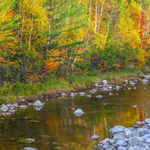 USA, New England, Maine, Wild River, reflections of Autumn colors in small river
