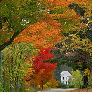 USA, New England, New Hampshire, Andover. Road lined in fall color. Credit as: Steve