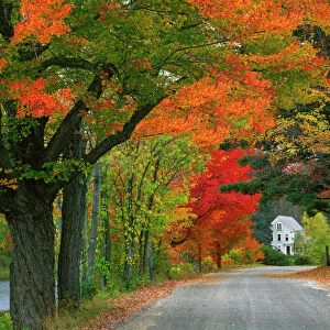 USA, New Hampshire, Andover. Road lined in fall color and traditional New England home