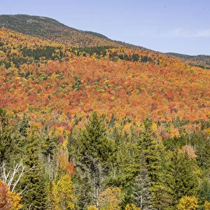 USA, New Hampshire, fall foliage
