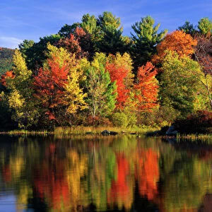USA, New Hampshire, Moultonborough. Trees in autumn color reflecting in Lake Kanasatka