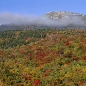 USA, New Hampshire, White Mountain National Forest, Fall colored hardwoods beneath USA, New Hampshire, White Mountain National Forest, Fall colored hardwoods beneath