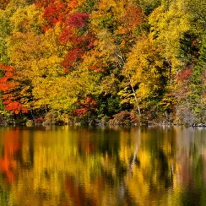 USA, New Hampshire, White Mountains, Reflections on Russell Pond USA, New Hampshire, White Mountains, Reflections on Russell Pond