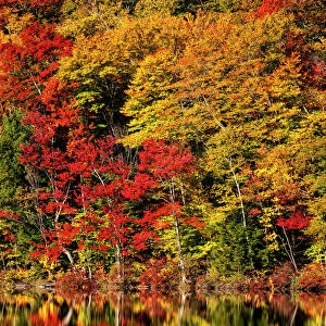 USA, New Hampshire, White Mountains, Fall reflections on Russell Pond