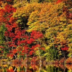 Prints of USA Prints: New Hampshire