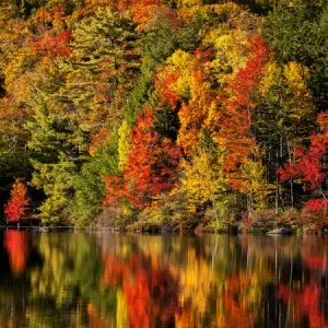 USA, New Hampshire, White Mountains, Fall reflections on Russell Pond USA, New Hampshire, White Mountains, Fall reflections on Russell Pond