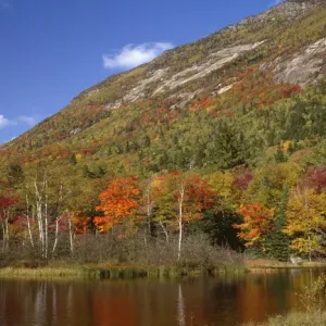 USA, New Hampshire, White Mountains, Crawford Notch State Park, Fall-colored northern USA, New Hampshire, White Mountains, Crawford Notch State Park, Fall-colored northern