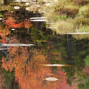 USA, New Hampshire, White Mountains. Autumn reflections in lake