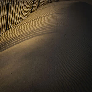 USA, New Jersey, Cape May National Seashore. Fence shadow patterns in sand