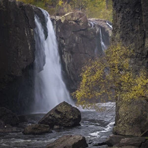 USA, New Jersey, Great Falls State Park. Waterfall and tree in autumn