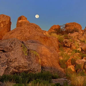 USA, New Mexico, City of Rocks State Park. Full moon sets over granite boulders lit by sunrise
