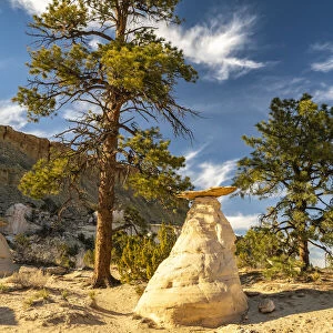 USA, New Mexico, Ojito Wilderness. Rock eroded into toadstool formation