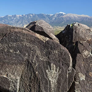 USA, New Mexico, Three Rivers Petroglyph Site. Petroglyph etchings on rocks. Credit as