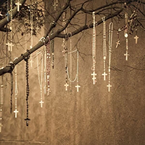 USA, New Mexico. Rosaries hang from a tree outside of the Loretto Chapel in Santa Fe
