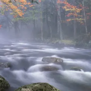 USA, New York, Adirondacks, Big Moose River rapids in Fall USA, New York, Adirondacks, Big Moose River rapids in Fall