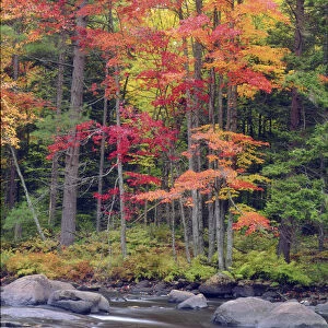 USA, New York, Autumn in the Adirondack Mountains Credit as: Christopher Talbot