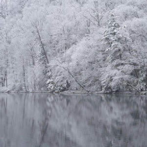USA, New York State. Snow covered trees and reflection, Green Lakes State Park