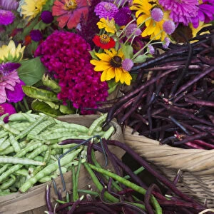 USA; North America; Georgia; Savannah; Flowers and vegetables at Farmers Market