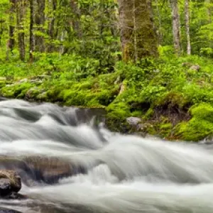 USA, North Carolina, Great Smoky Mountains National Park, Panoramic view of water