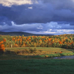 USA, Northeast Kingdom, Vermont, Eden, View of field