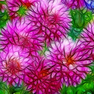 USA, Oregon. Abstract of digitally altered pink dahlias