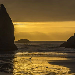 USA, Oregon, Bandon Beach. Wizards Hat formation at sunset