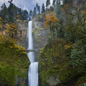 USA, Oregon, Columbia Gorge. Multnomah Falls, with a walking bridge between upper and lower drops