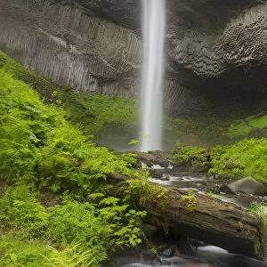 USA, Oregon, Columbia River Gorge. Latourell Falls landscape