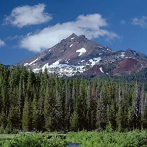 USA, Oregon, Deschutes National Forest. South side of Broken Top rises above coniferous forest