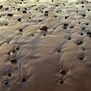 USA, Oregon. Evening light defines wet beach with scattered rocks, near Oceanside
