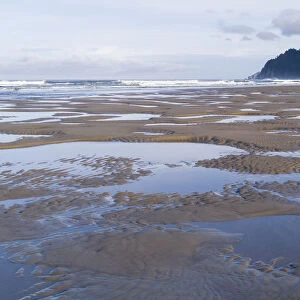 USA, Oregon, Manzanita. Reflections in beach tide pools