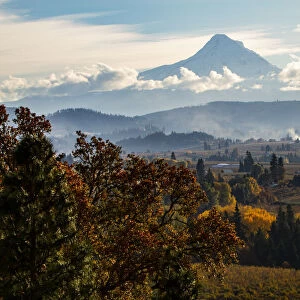 USA, Oregon. Mount Hood autumn landscape scenery