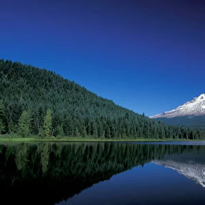 USA, Oregon, Mount Hood reflected in Trillium Lake