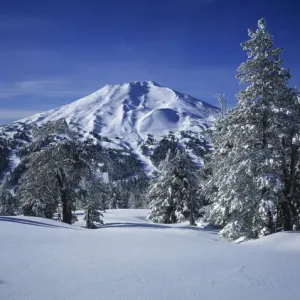 Prints of Images Dated: 2008