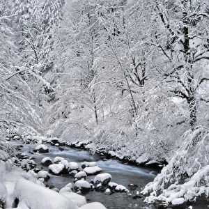 USA, Oregon, Mt Hood National Forest. Snow on Boulder Creek