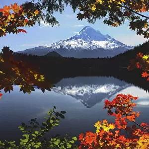 USA, Oregon, Mt. Hood National Forest. Fall-colored vine maples frame Mt. Hood from Lost Lake