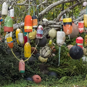 USA, Oregon, Newport. Tree decorated with buoys