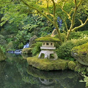 USA, Oregon, Portland. Japanese Garden scenic