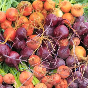 Colorful Radishes Print, Bend Farmers Market Scene Colorful Radishes Print, Bend Farmers Market Scene