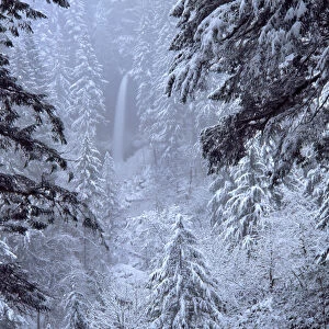 USA, Oregon, Silver Falls State Park. North Falls in winter snow. Credit as: Steve