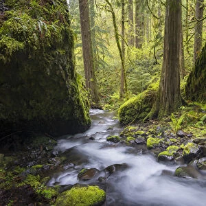 USA, Oregon. Spring view of Ruckle Creek in the Columbia River Gorge