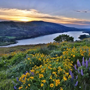 USA, Oregon. View of Lake Bonneville at sunrise