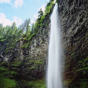 USA, Oregon, A waterfall in an Old Growth Forest